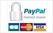 picto paypal
